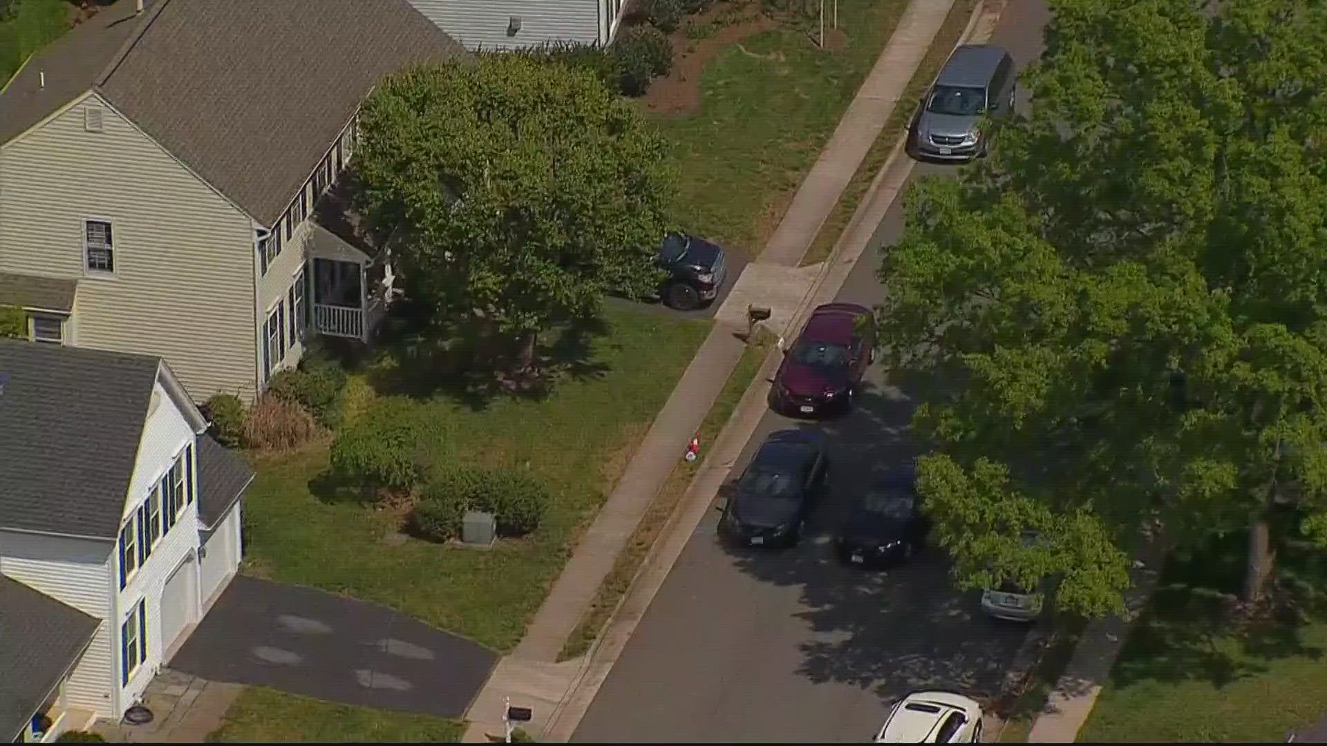 A suspect is in custody after a man and dog were stabbed in Fairfax County Tuesday morning.