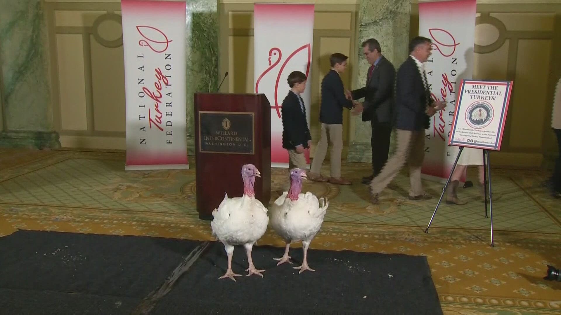You can vote on the White House website on which turkey will be pardoned.