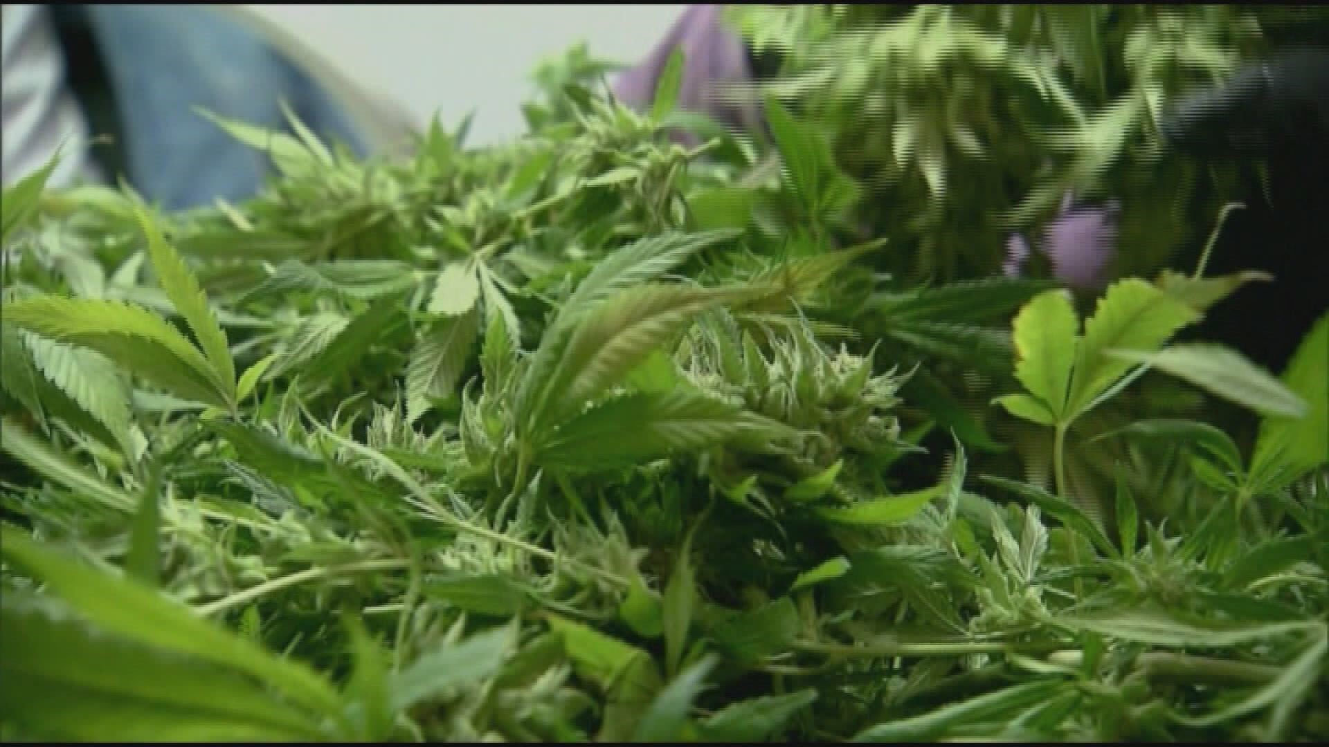 Can you smoke weed here? A look at the DC, Maryland and Virginia laws
