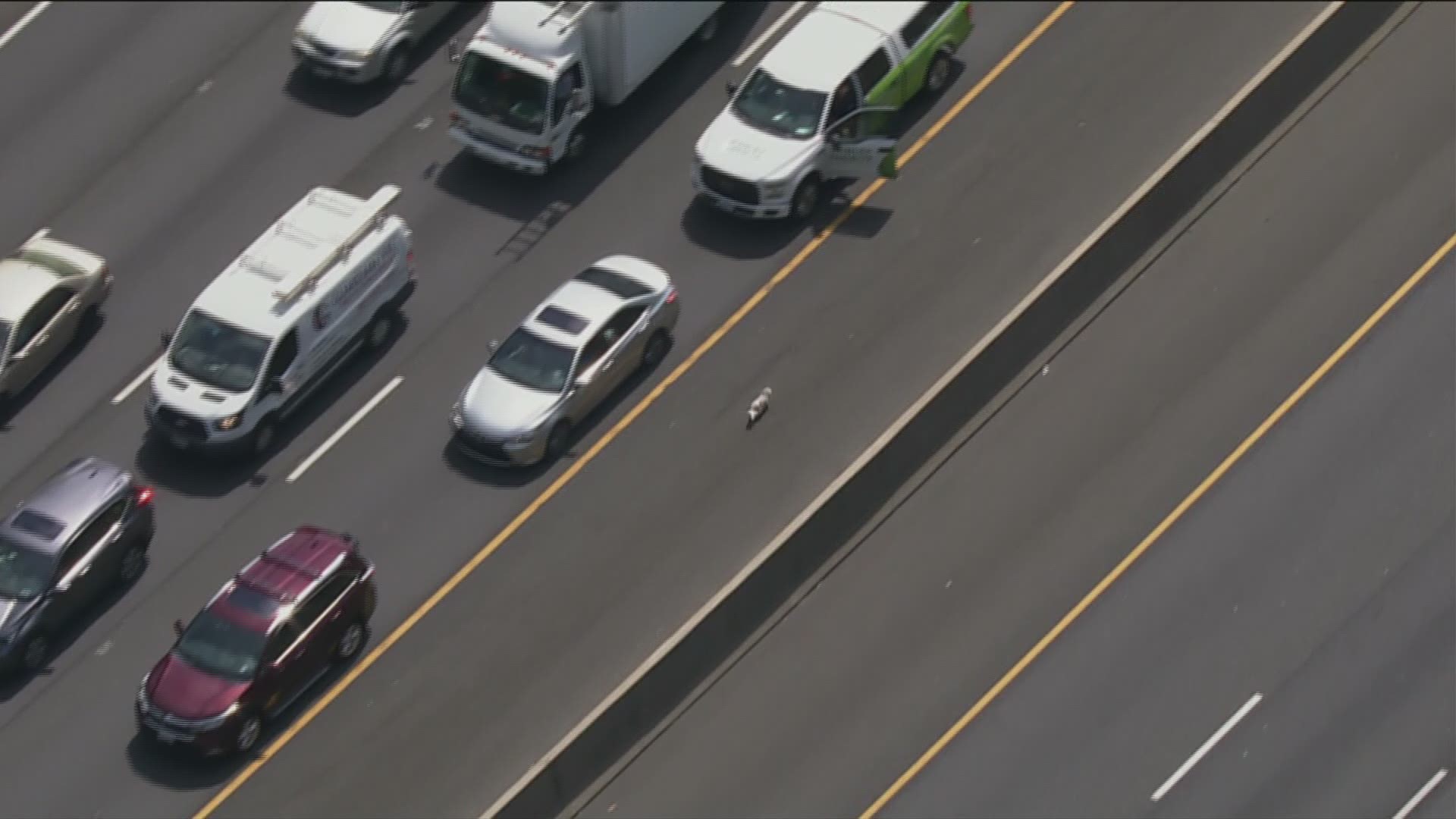 A dog ran loose on the  I-495 SB (Outer Loop) past MD-190 (Exit 39/River Road)