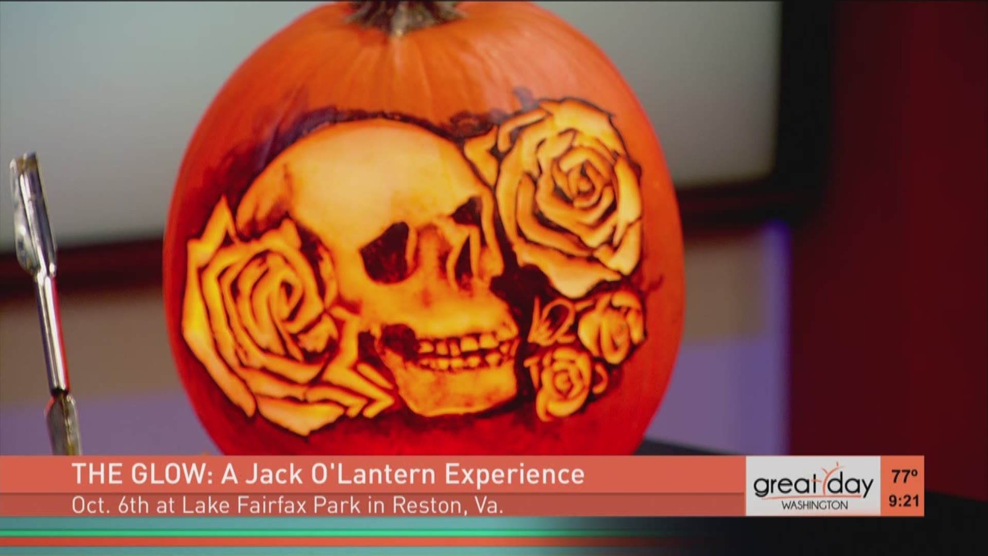 Bill Bywater, master carver and art director, tell us more about the event where you will see more than 5,000 hand carved pumpkins. The Glow: A Jack O'Lantern Experience is on October 6 at Lake Fairfax Park in Reston, Va. 