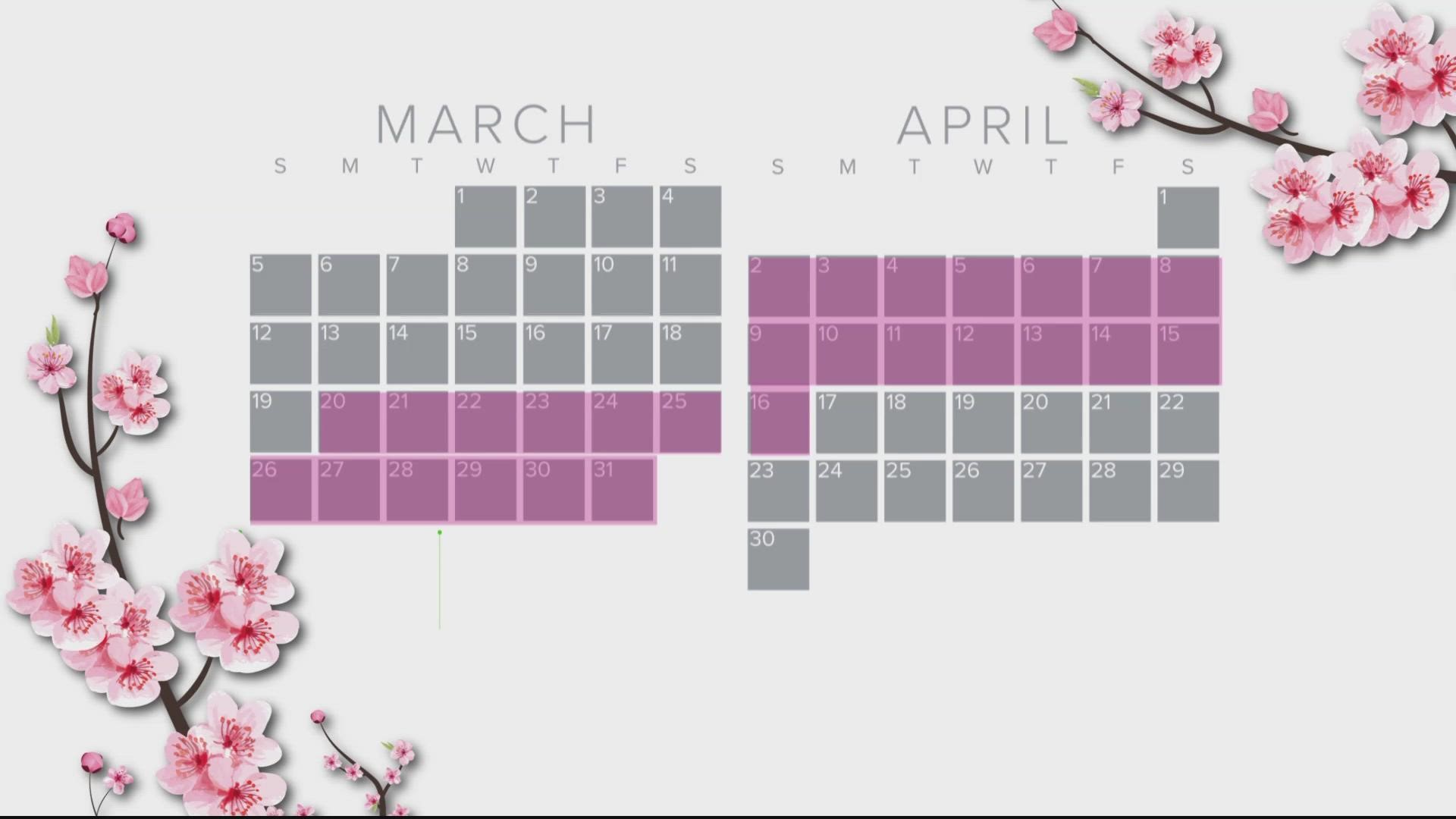 Cherry blossom in DC to reach peak bloom March 2225