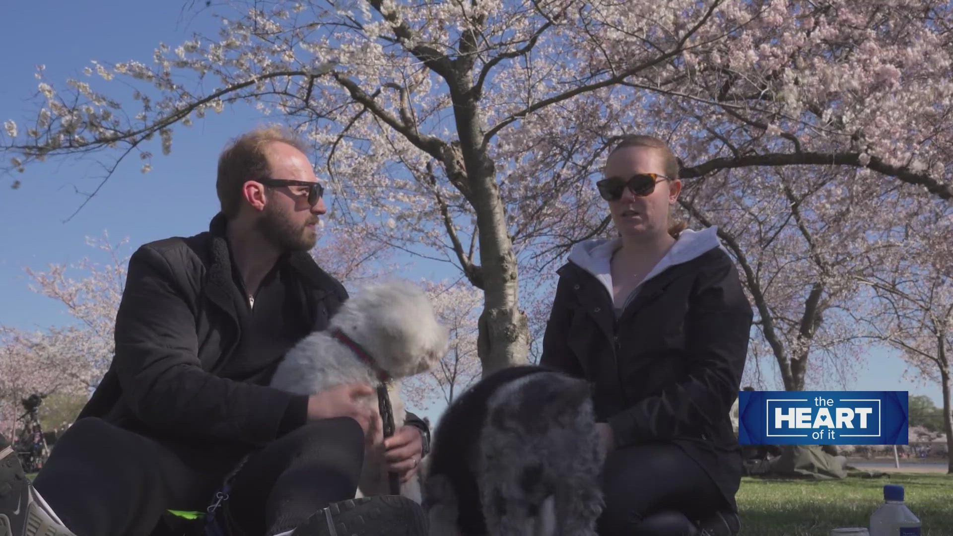 OUR SEAN MARTINELLI CAUGHT UP WITH SOME VISITORS AT THE TIDAL BASIN. 