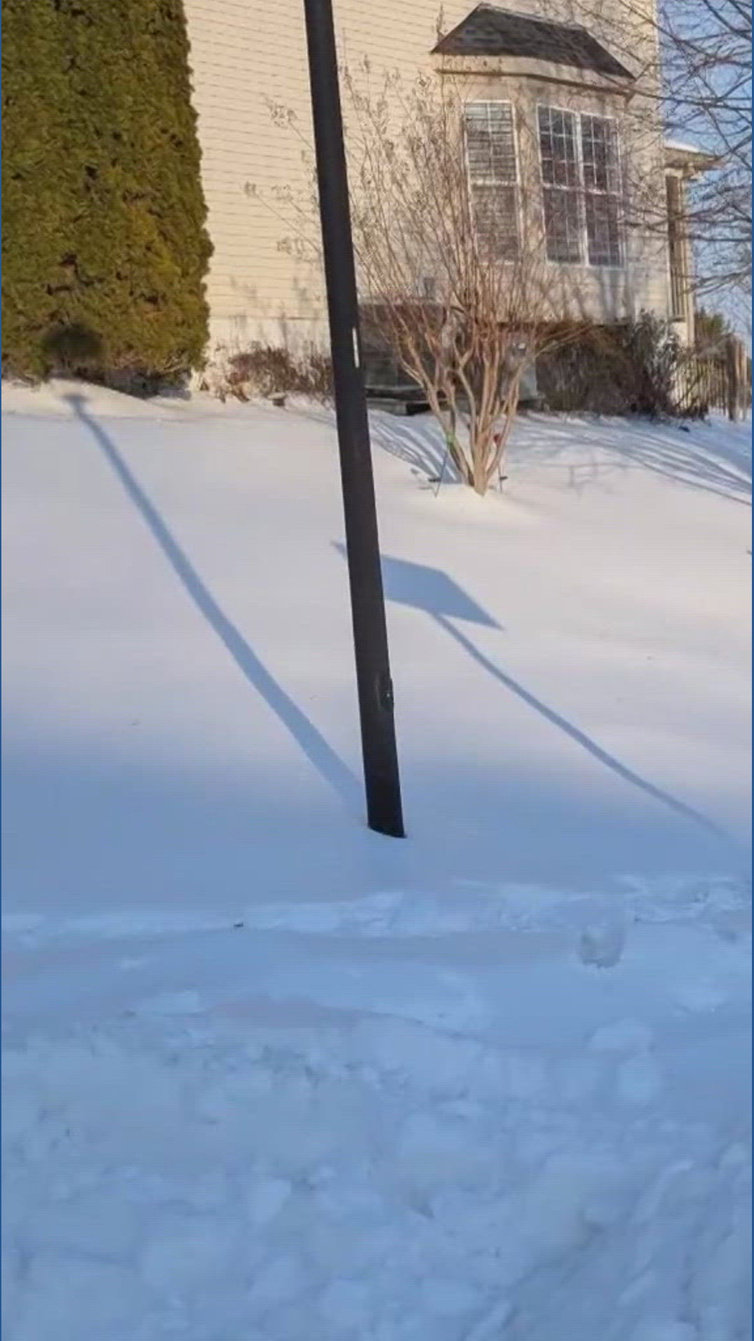 Storm clean up continues throughout the DMV | wusa9.com