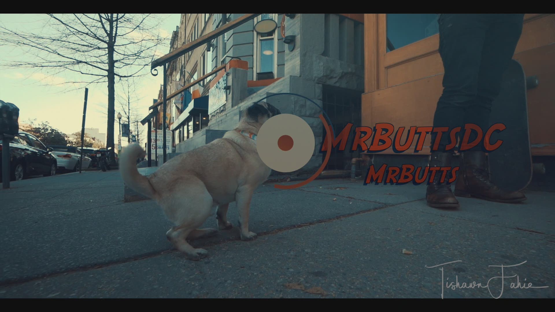 Mr. Butts - Skateboarding Pug