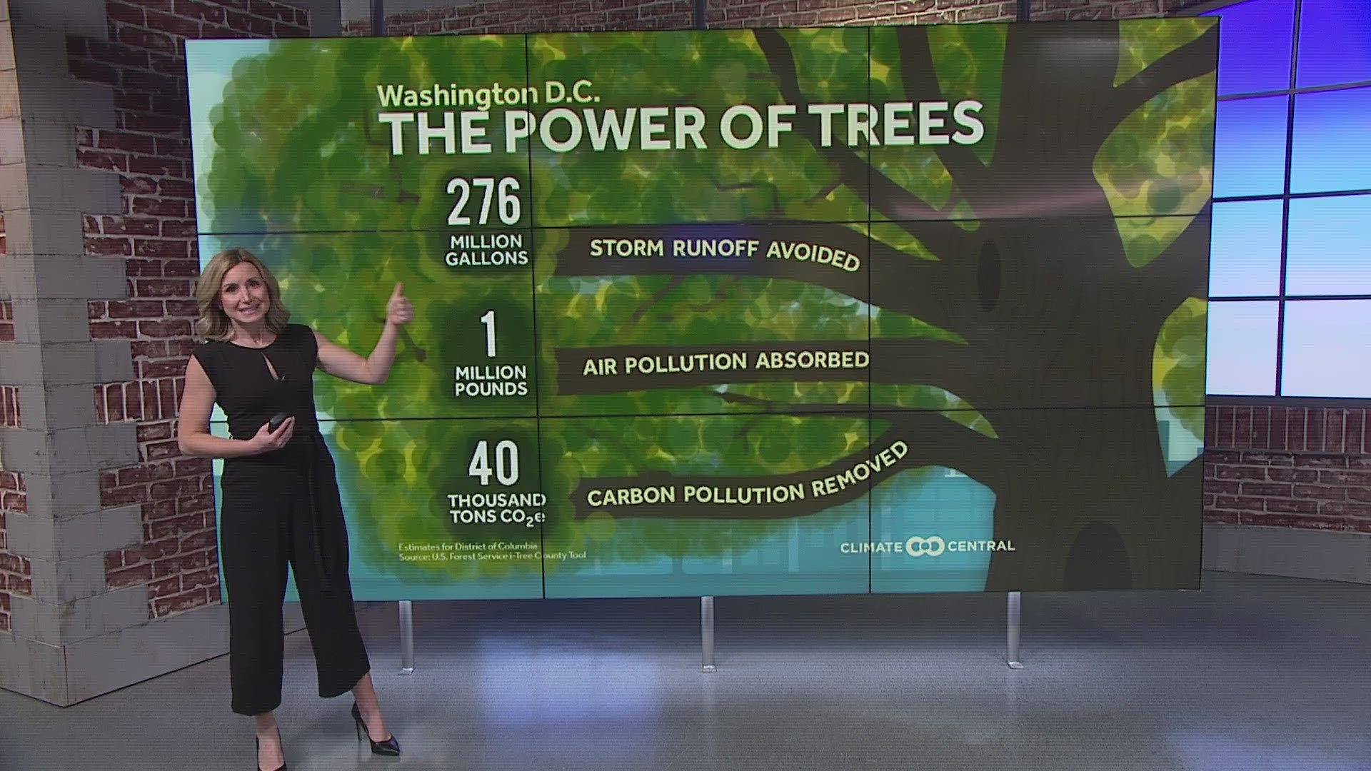 Now we know trees can help alleviate impacts from urbanization and help communities adapt to climate change.