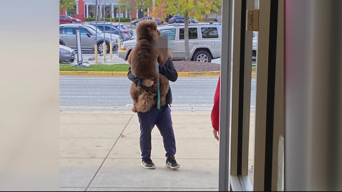 Carrying a giant dog | Open Mic
