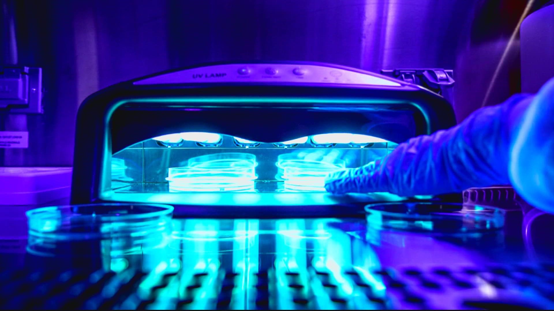 Gel nail polish machines linked to DNA damage and cancercausing cell