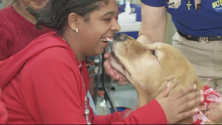 Therapy dog helps students with special needs in Virginia