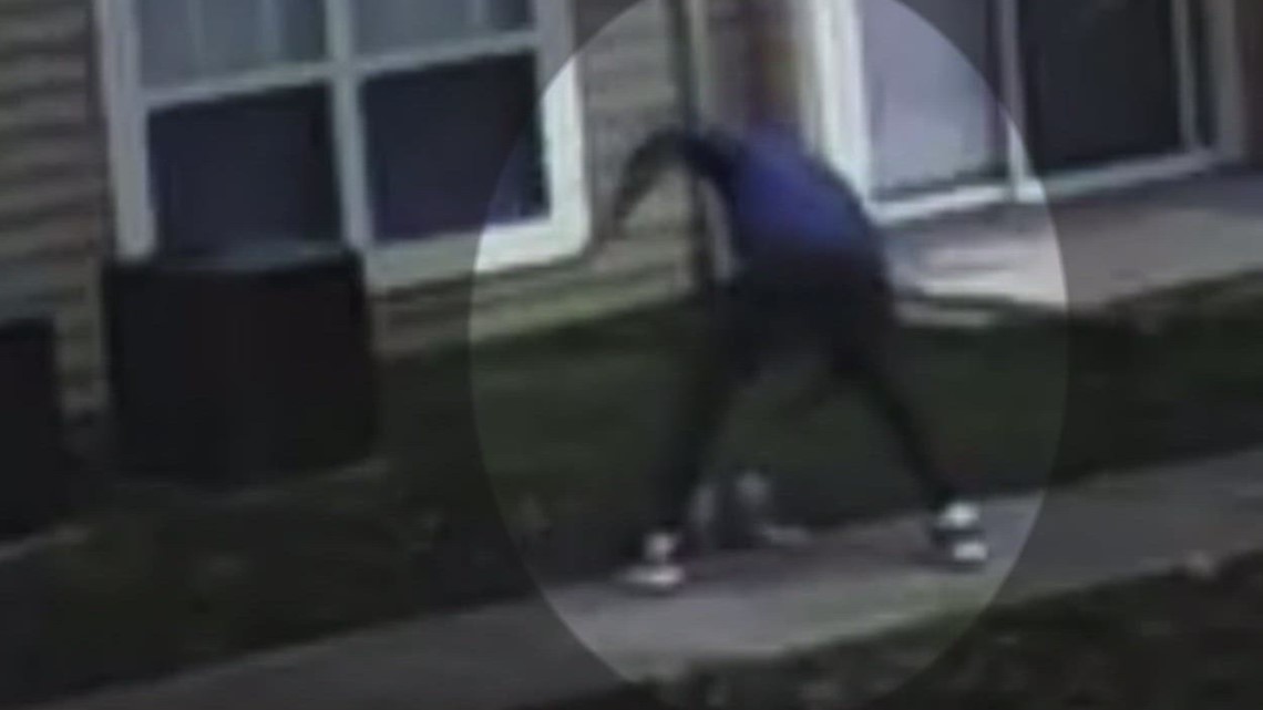 Man wanted for attacking dog in Hyattsville
