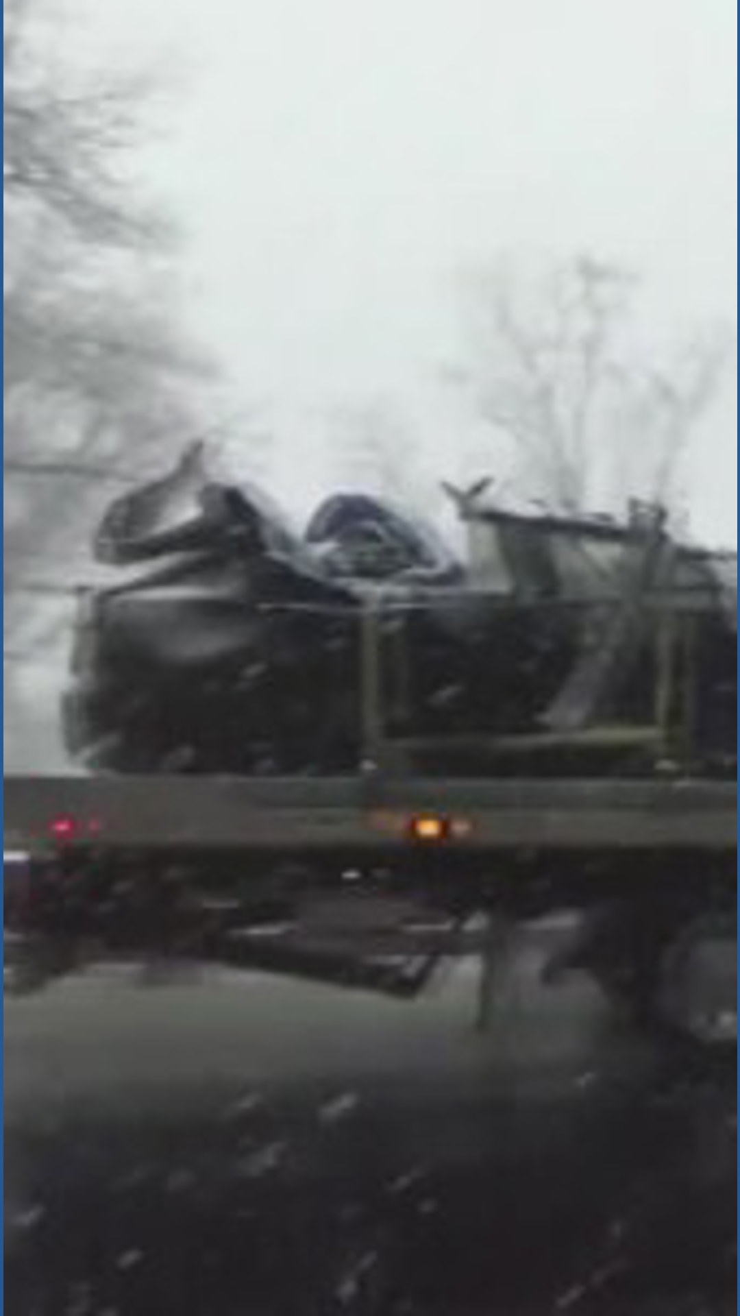 Driver killed when tree falls on car on George Washington Memorial ...