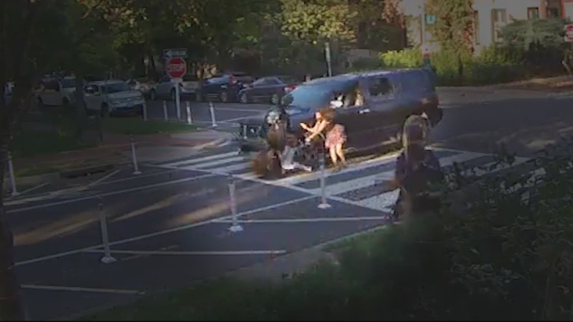 视频：逃逸司机撞倒华盛顿东北区的母亲、儿子和狗