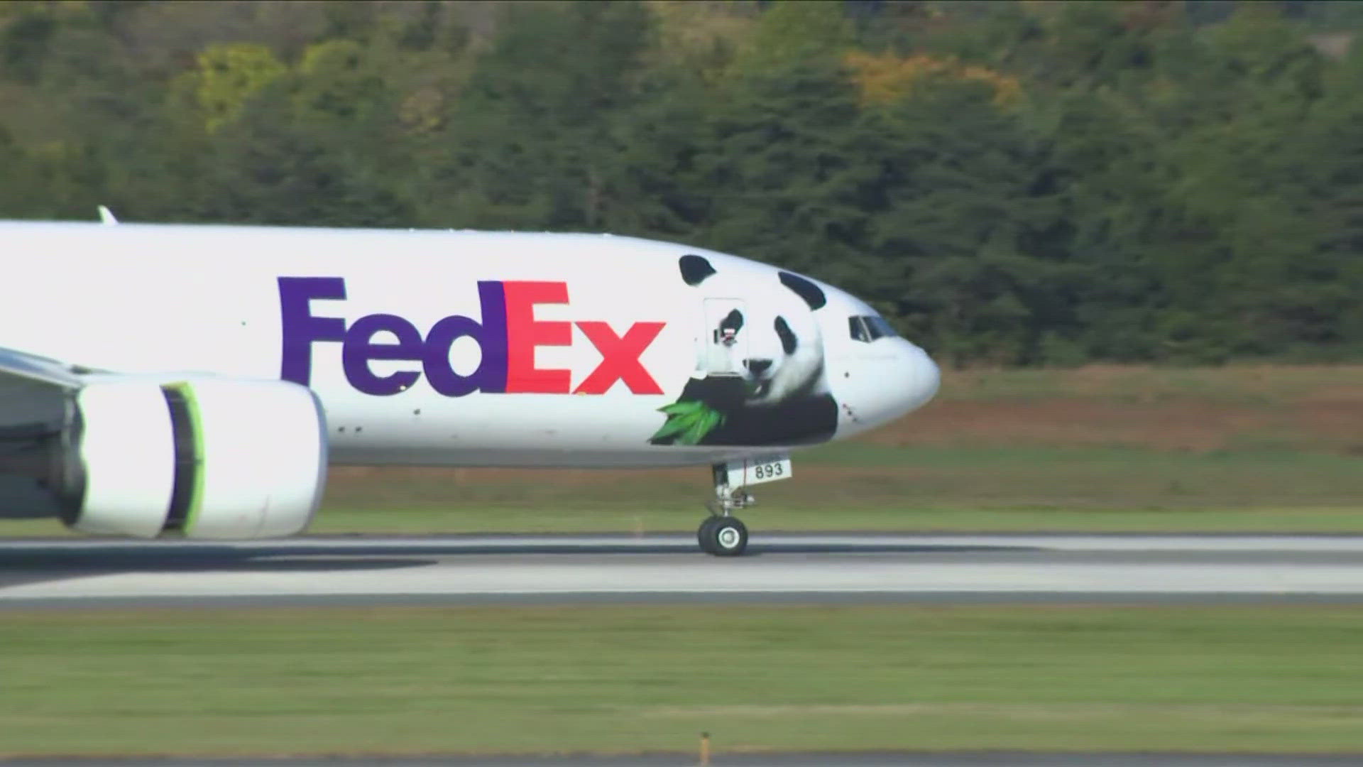 The pandas were flown from China in a FedEx plane dubbed the "Panda Express." The pair were then driven into D.C. with a full police escort.