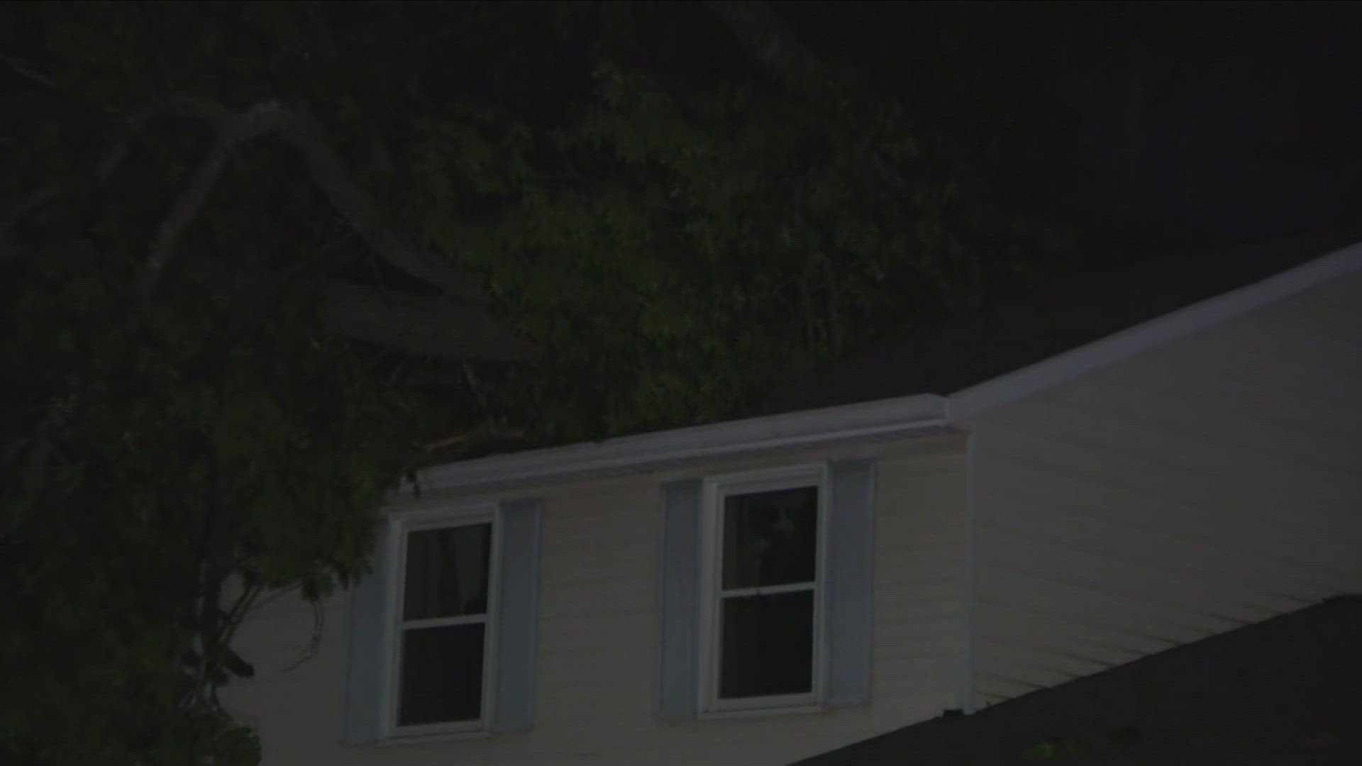 It is believed the tree fell due to storms that moved through the area Saturday.