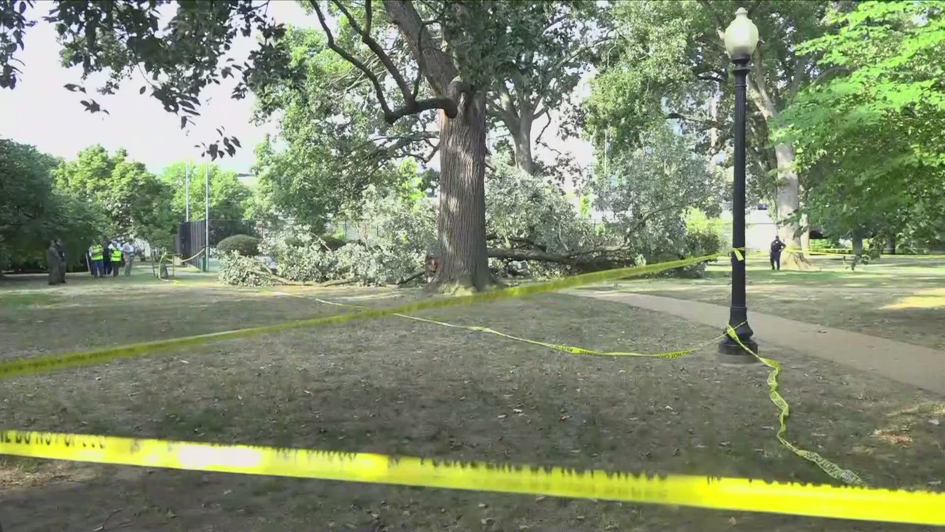 A woman has died after being trapped under a large tree in Garfield Park Wednesday morning.