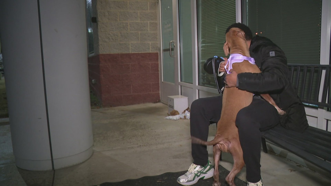 Pit Bull ban lifted in Prince George’s County, prompting surge of shelter adoptions