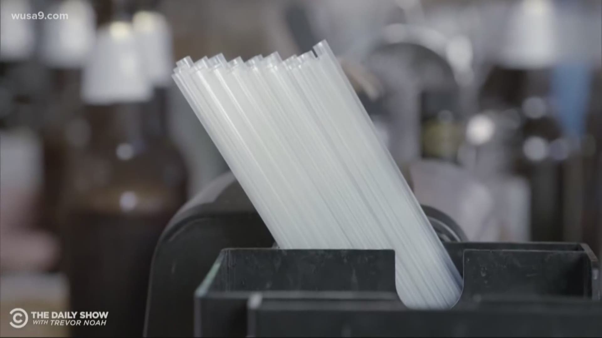 On Monday, the city starts fining businesses up to 800 dollars for giving out plastic straws and stirrers.