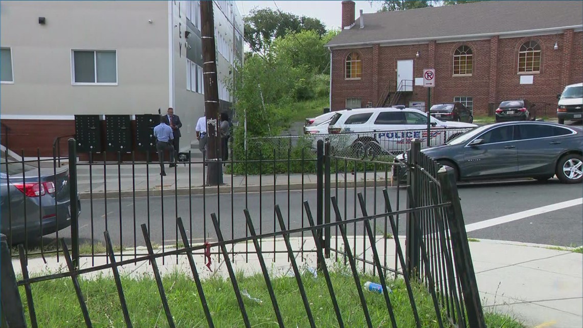 Man arrested after shooting mother dead in front of 5 kids in DC - Vimarsana News