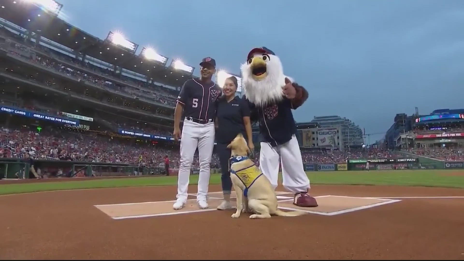 The Nats are hosting Pups in the Park tonight against the New York Mets.