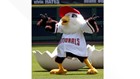 Nats mascot Screech and Momma Screech, at a Washington Nationals game.