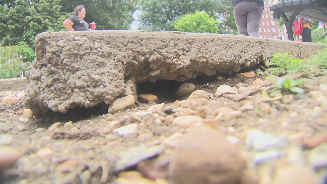 Class is in session at DC's rodent control academy