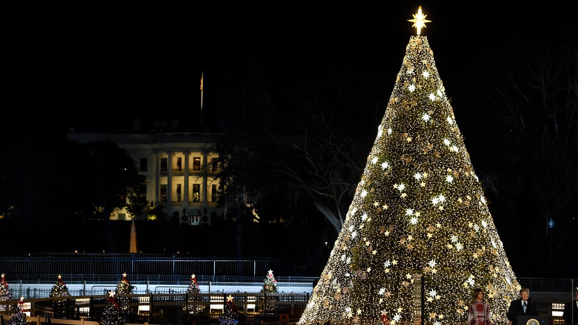 white house tree lighting 2020