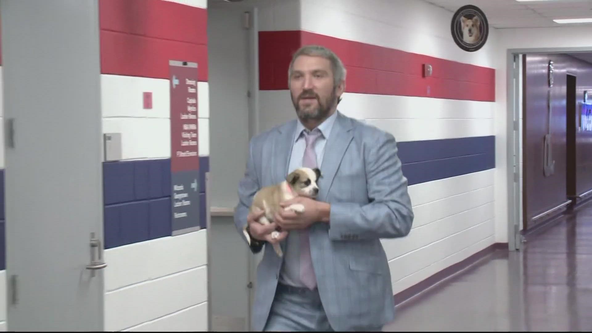 Alex Ovechkin returns to the Capitals tonight, just in time for 'Caps canines night'