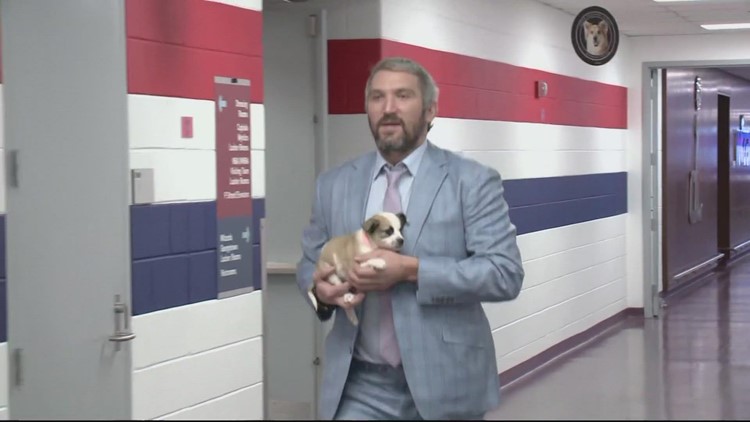 Alex Ovechkin returns tonight for 'Caps canines night' | Sports with Sharla McBride