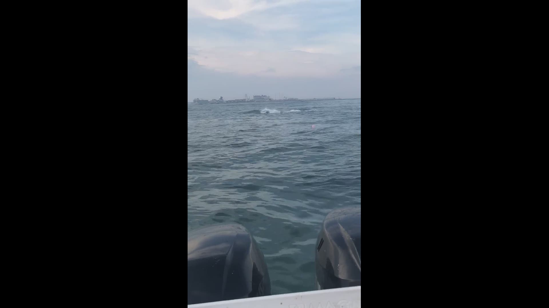 A whale was spotted off the coast of Ocean City, Maryland on June 17.