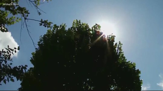 Heat emergency activated in DC | wusa9.com
