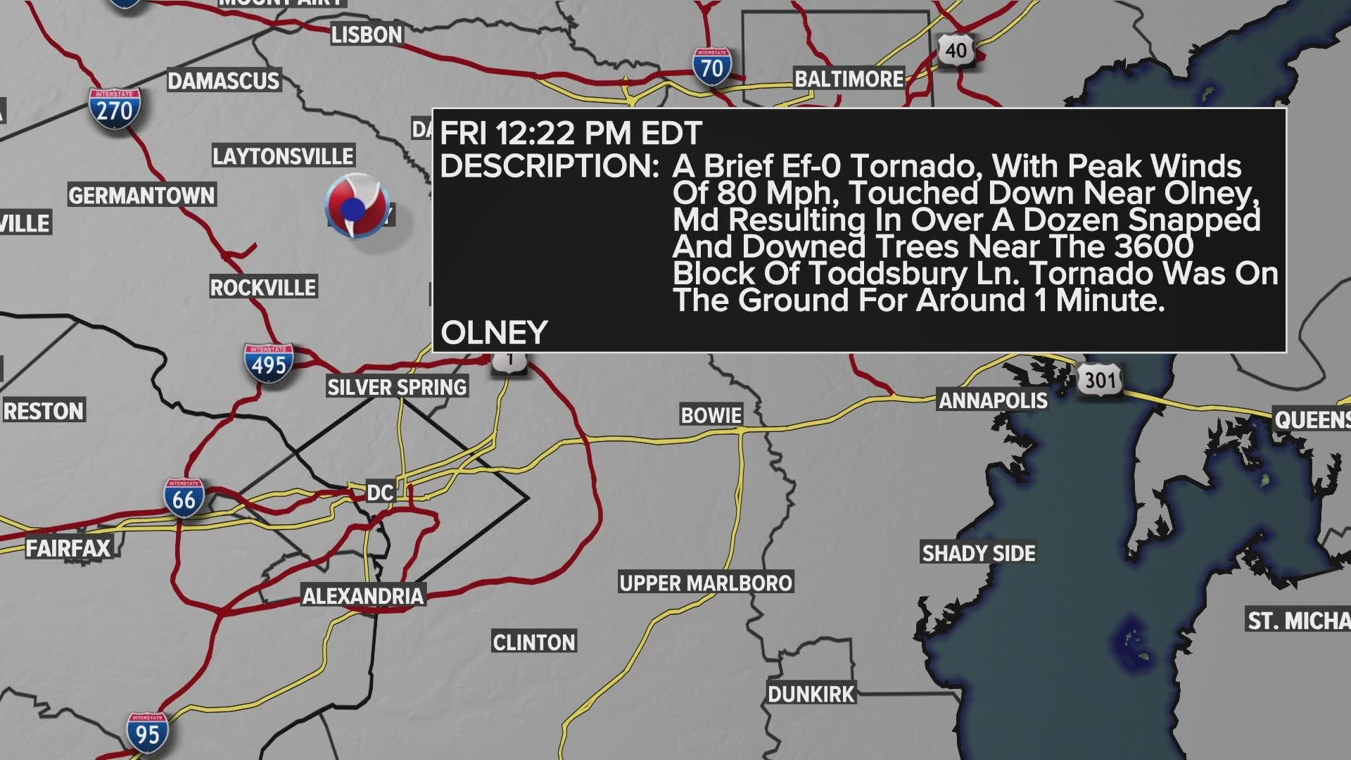 The tornado happened around noon on Friday and it is characterized as an EF-0 Tornado with peak winds of 80 mph.