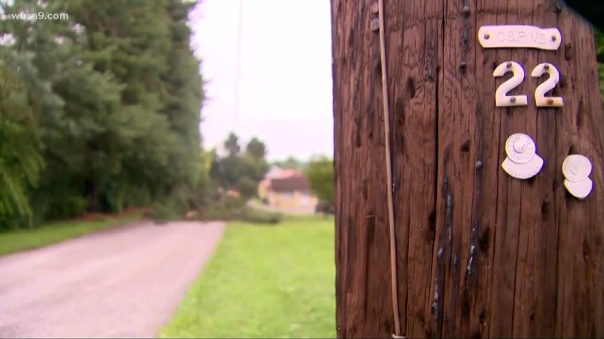 An 89-year-old man died after after a tree fell onto him in Carroll County, Maryland. He was outside after one the storms passed by. A tree limb came down and hit him.
