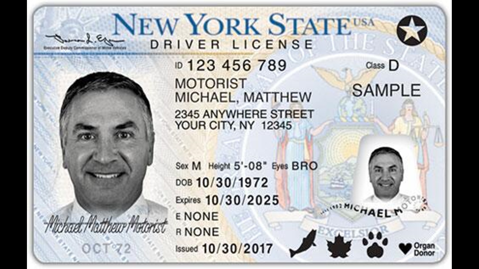 VERIFY Do you really need the new "REAL ID's" to vote?