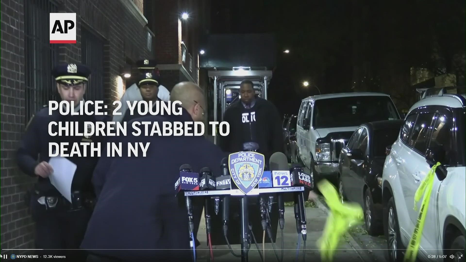 Police say two small children died of stab wounds after their mother was taken into custody for observation in New York City.