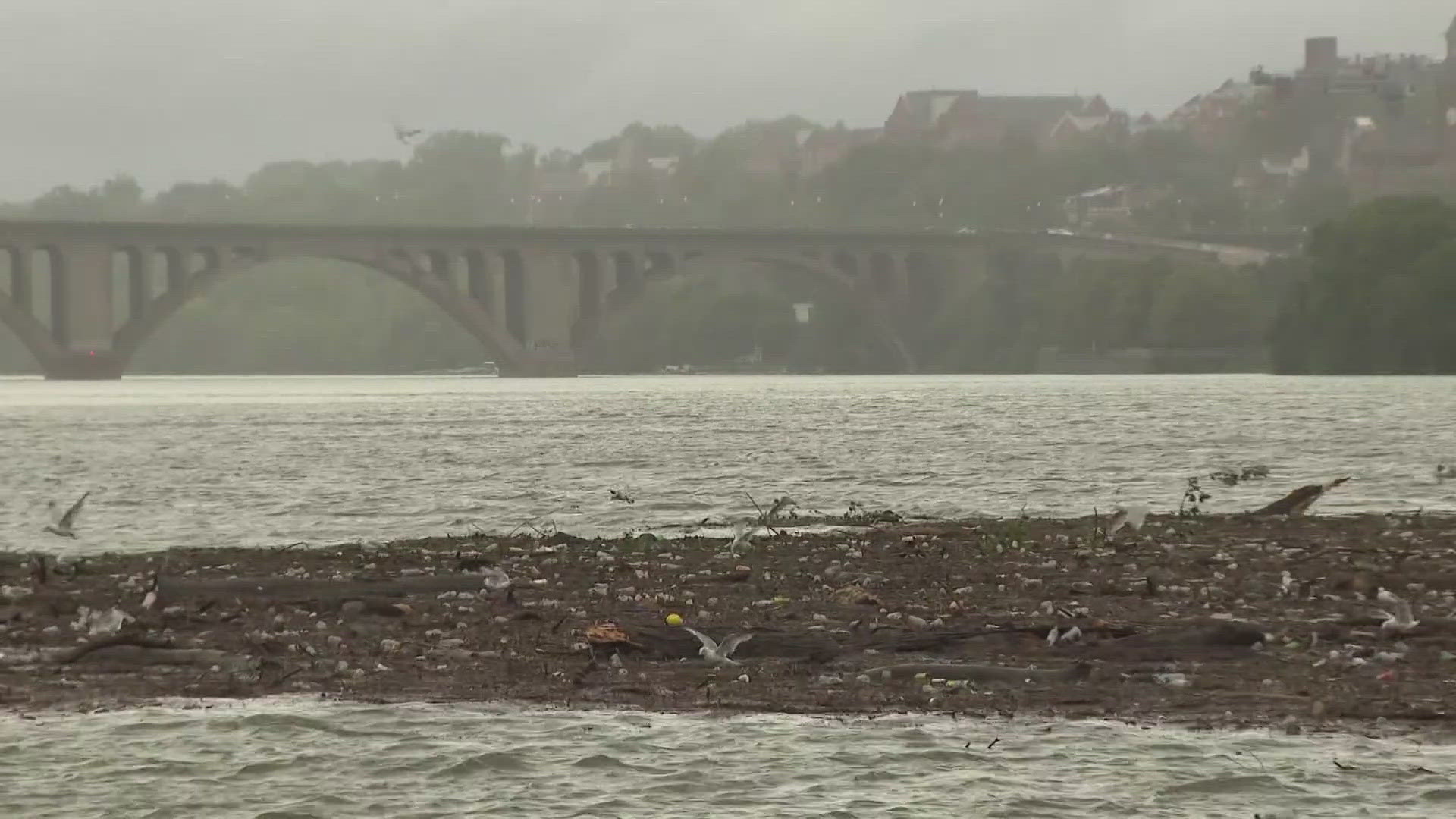 A FLOATING ISLAND OF TRASH NEAR THE WATERGATE. A LOT OF YOU SHARED THE IMAGES AND OUR REPORTING.