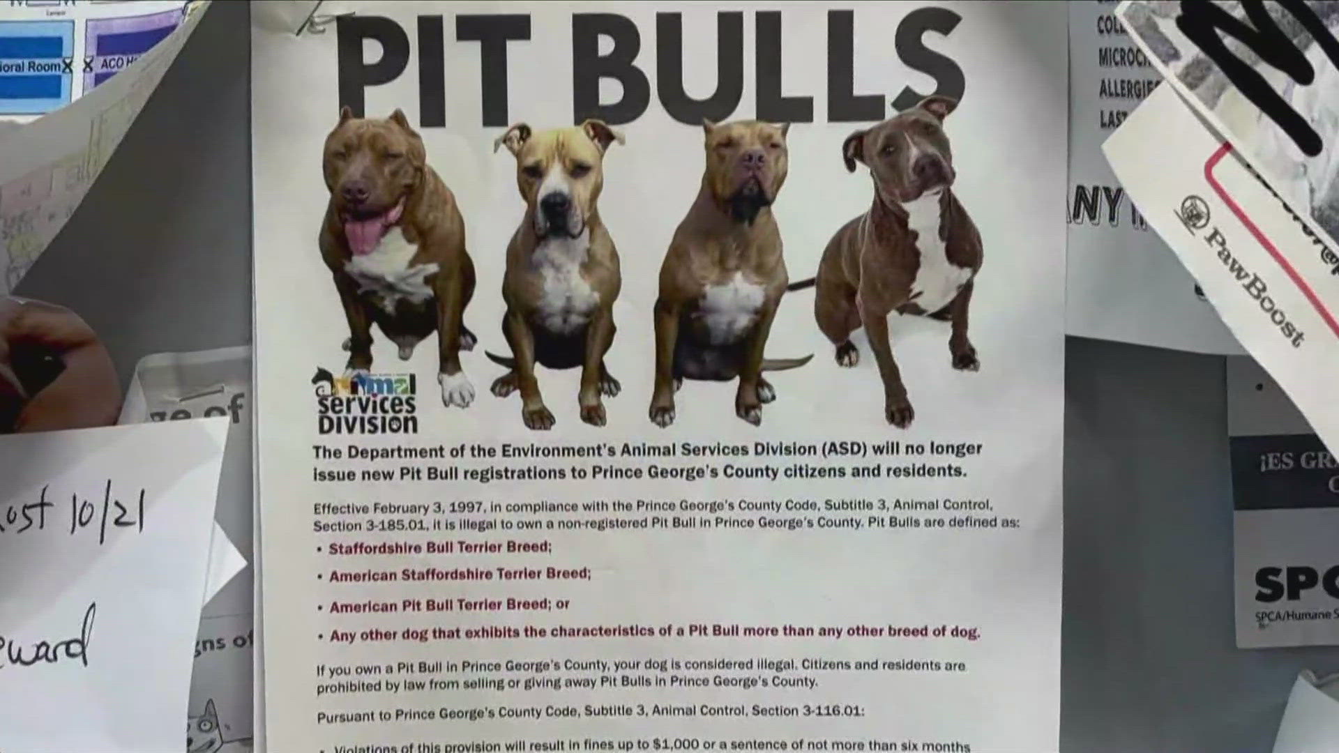 New Prince George's County bill would lift pit bull ban | wusa9.com