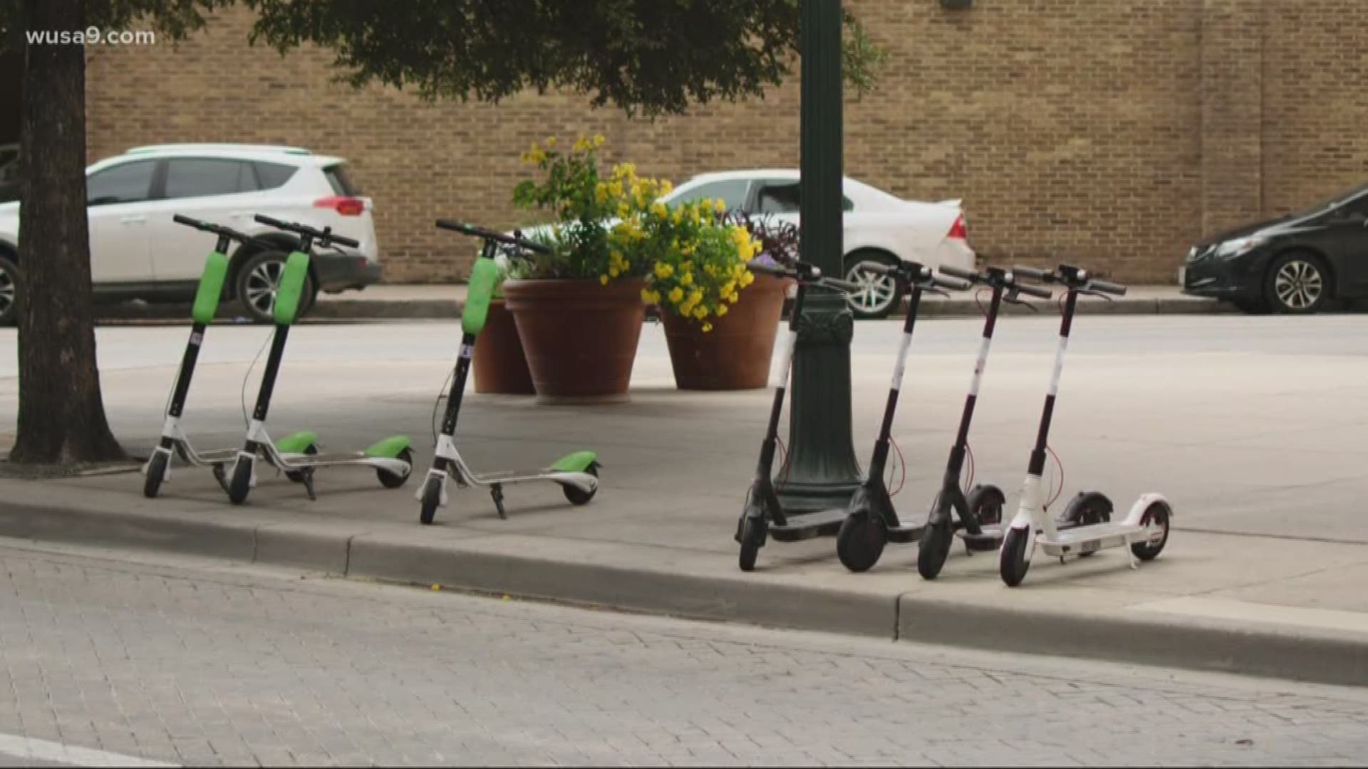 Electric scooters and bikes are a big deal in DC.
But one viewer wanted to know is it actually legal to ride scooters and bicycles on city walkways?