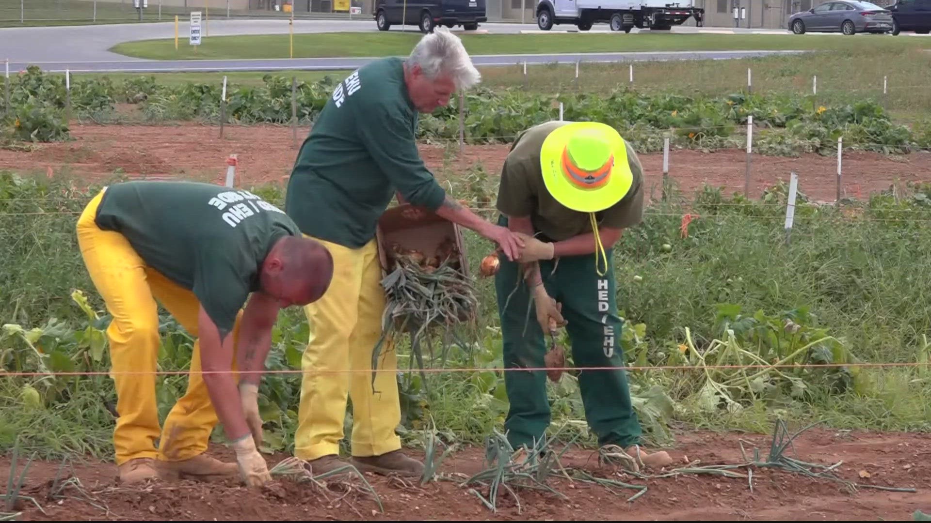 In some parts rural parts of Maryland, an important source of donations is farm gardens run by people serving time in the state’s prison system.