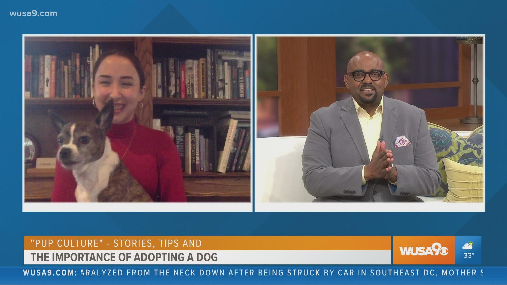 The holidays are a great time to adopt a puppy. Victoria Lily Shaffer, author of "Pup Culture", shares tips about adding a four legged friend to your family.