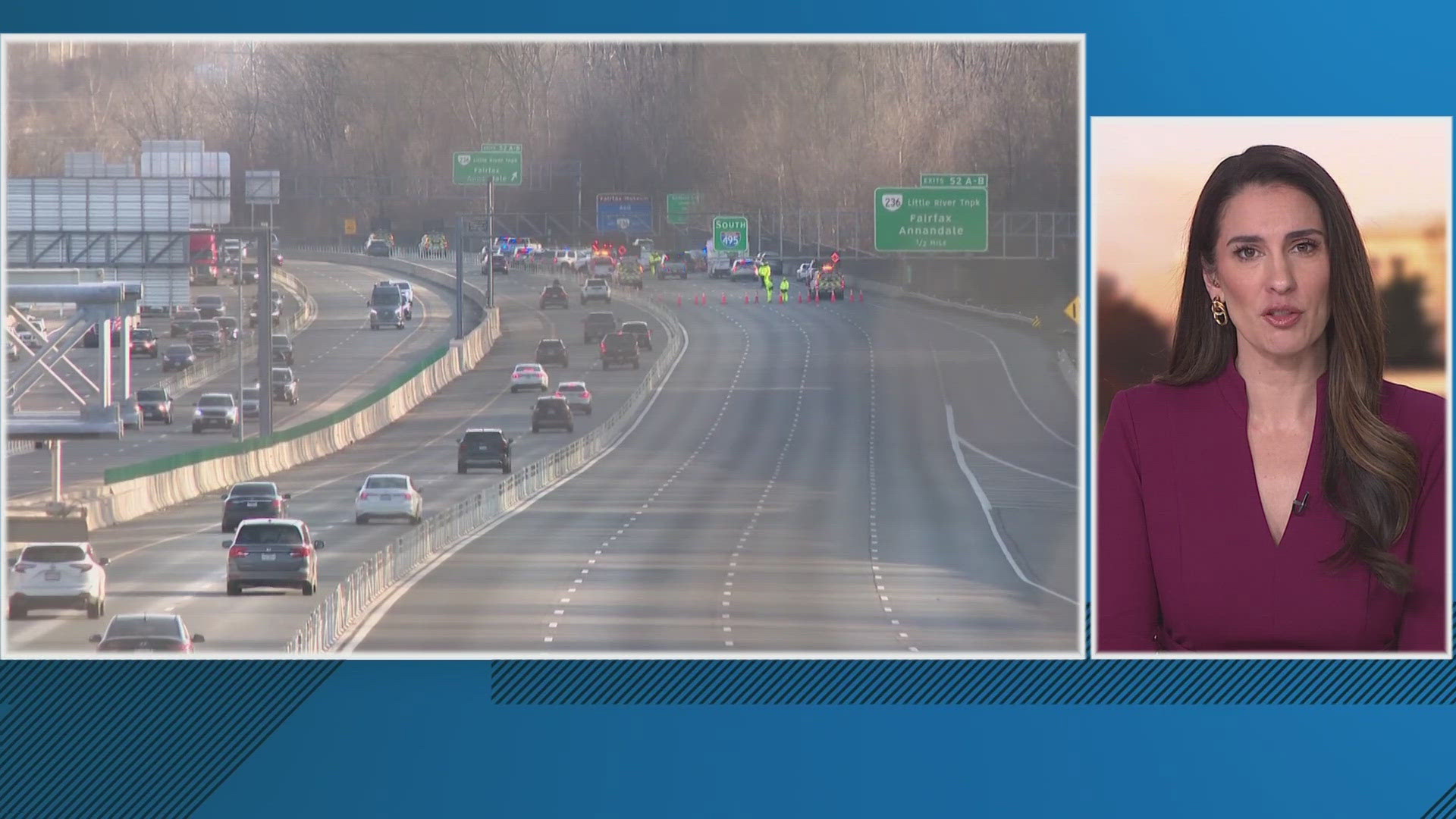 Two people and a dog are dead after a road rage incident on I-495 ...