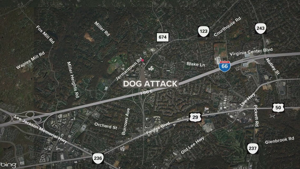 Dogs attack 5 people including officers in Fairfax Co.