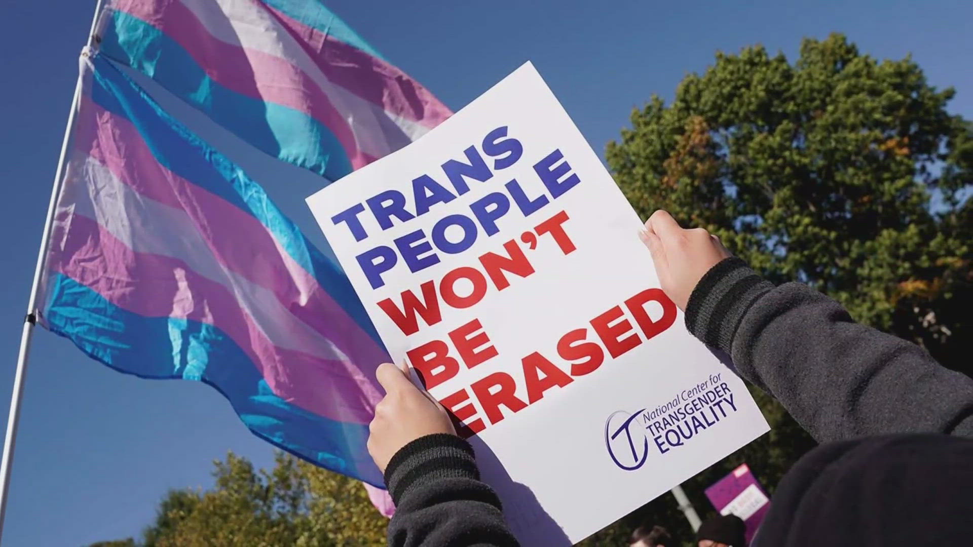 The march aims to bring attention to the relevance of trans individuals in society and in politics.