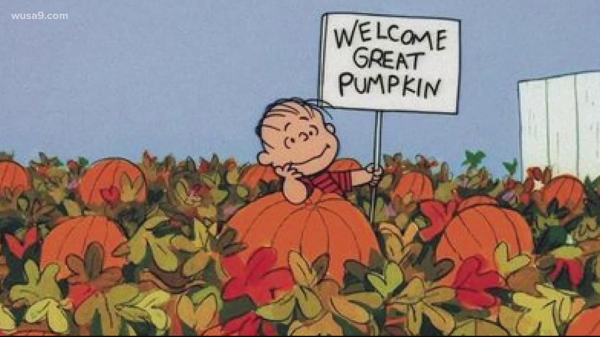 "It's The Great Pumpkin, Charlie Brown," will be back on public television in 2021.
