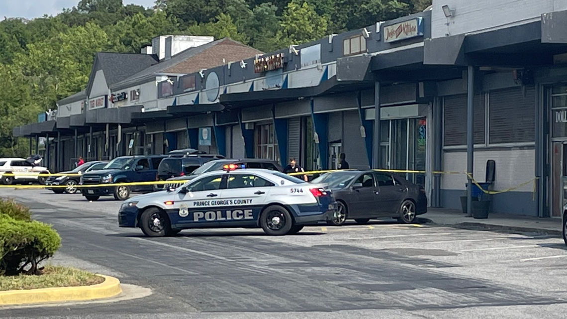 Double shooting at shopping center in Prince County
