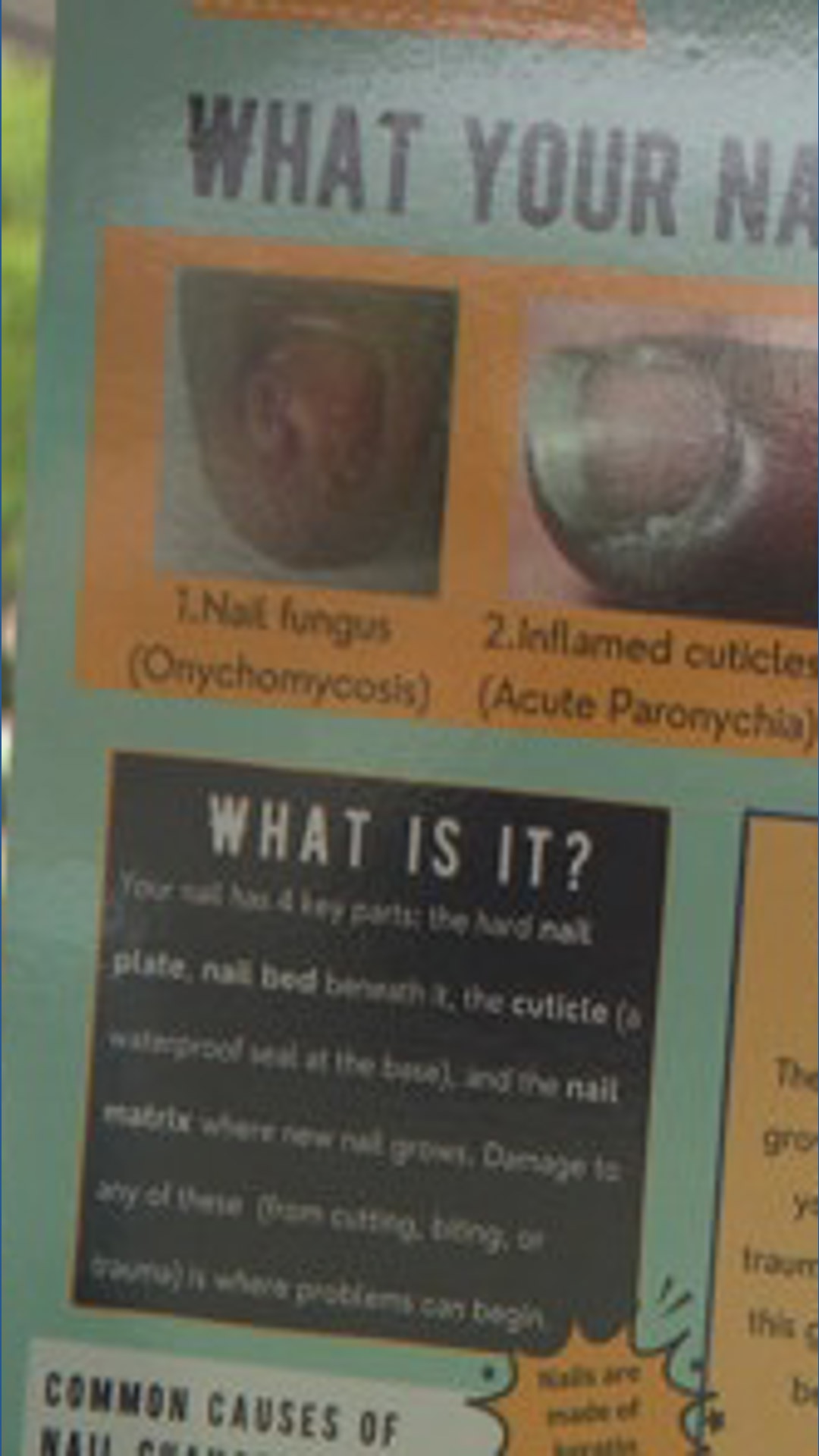 Learn2Derm brings skin care screenings to communities where they're ...
