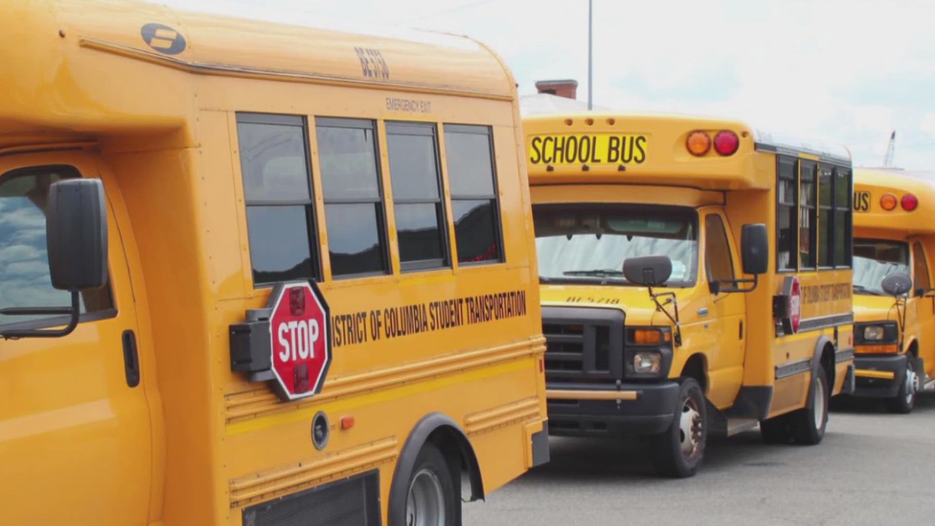 Under the new program, 25 stop-arm safety cameras have been installed on school buses to help curb dangerous driving behavior.