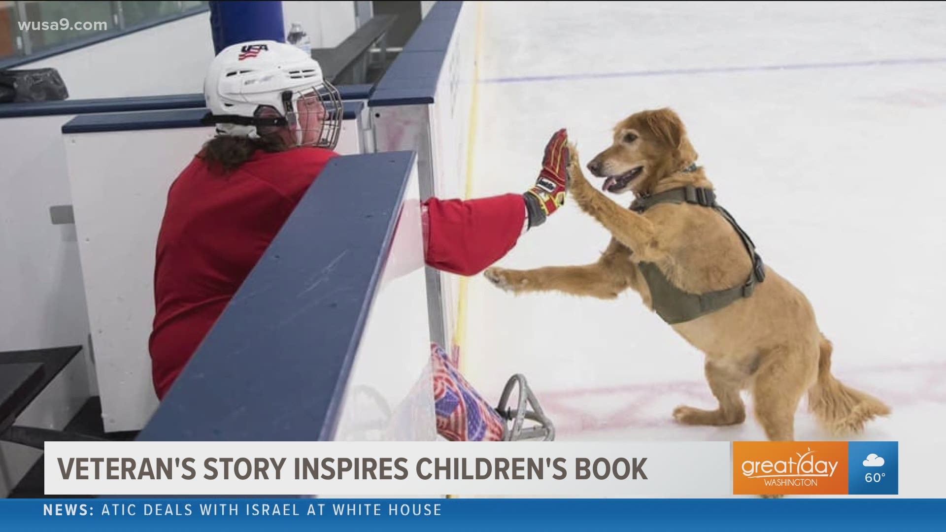 US Army Veteran, Christy Gardner shares her story of training service and therapy dogs and turning it into a children's book.