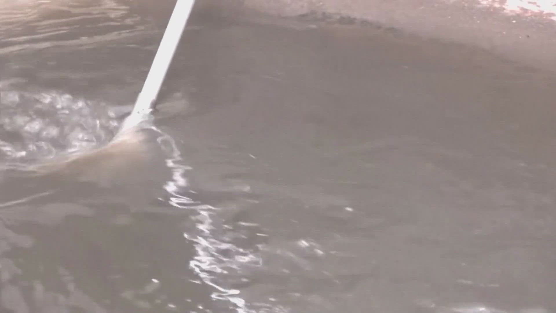 Microsoft jobs VirginiaReston Town Center opens up new positions