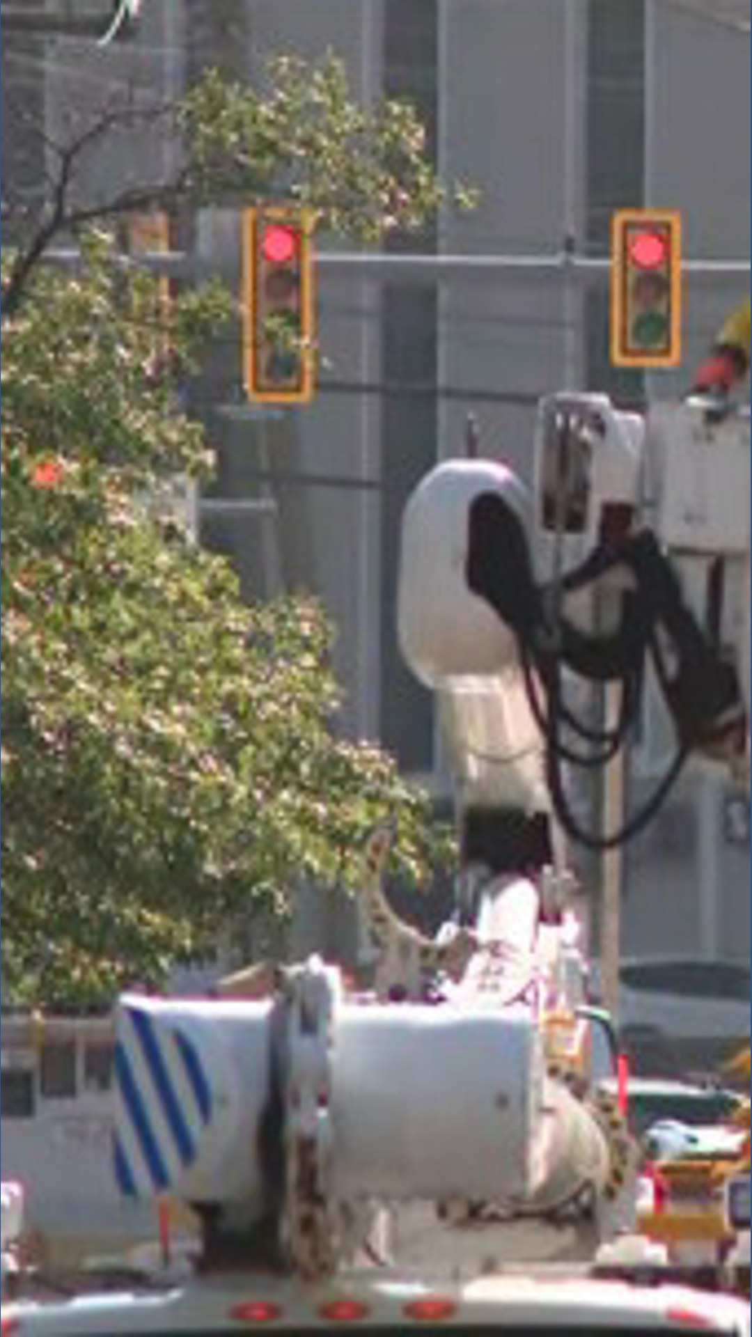Suspected drunk driver slams into power pole in Fairfax County | wusa9.com
