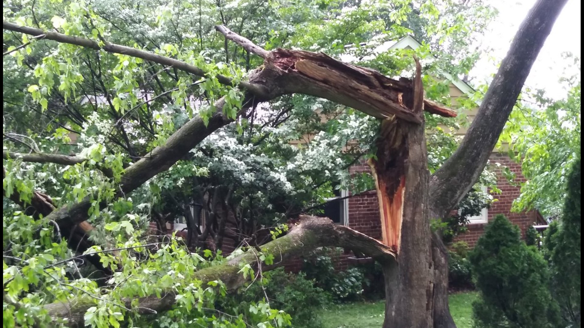 Thousands still without power after severe storms fell trees and power ...